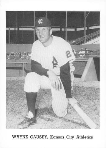 Wayne Causey MLB Baseball