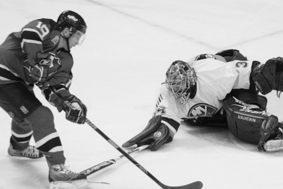 hockey poke check