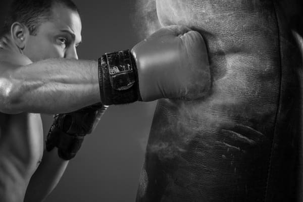 Best Boxing Bags Out There