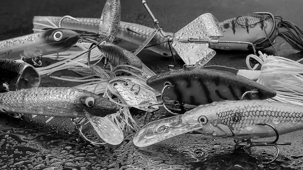 Best Fishing Lures for the Average Fisherman