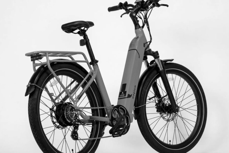 Cosmo E Bike
