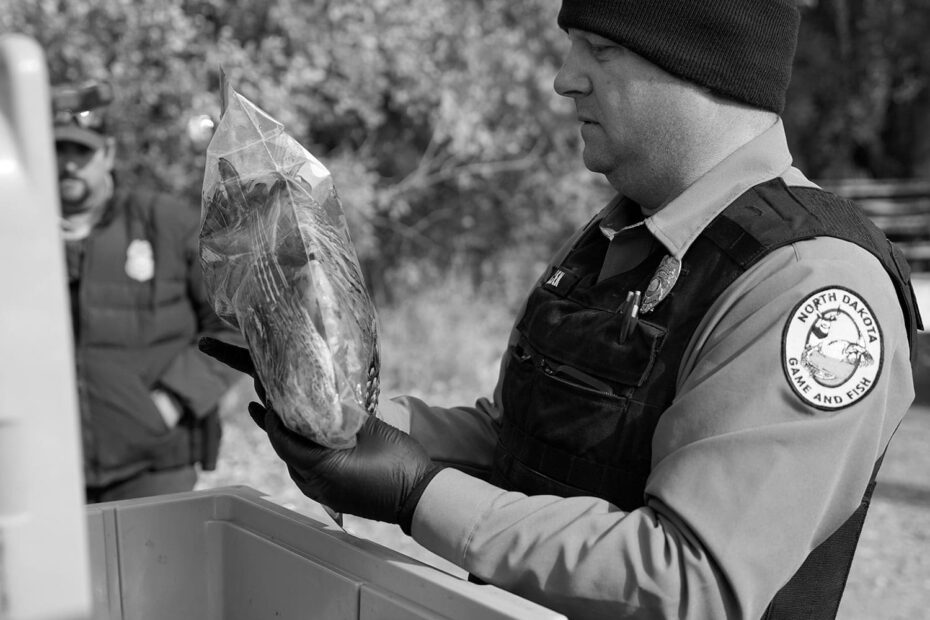 Fishing License Fines