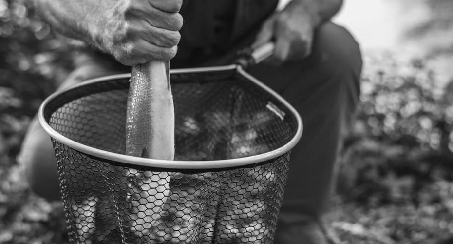 Fishing Net Types Pros and Cons