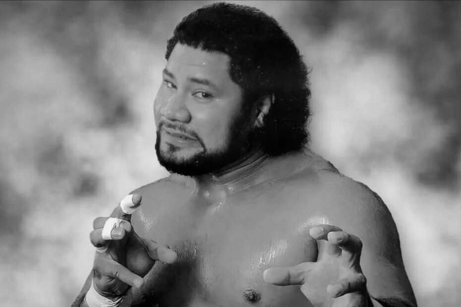 Haku the Wrestler WWE History & Achievements