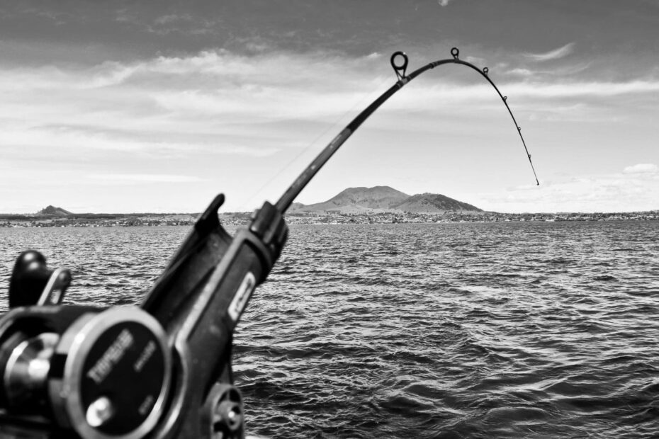 How Long Does Fishing Line Last