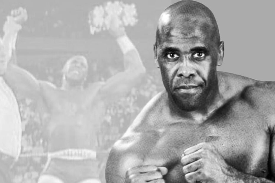 The Rise and Fall of Virgil in WWE