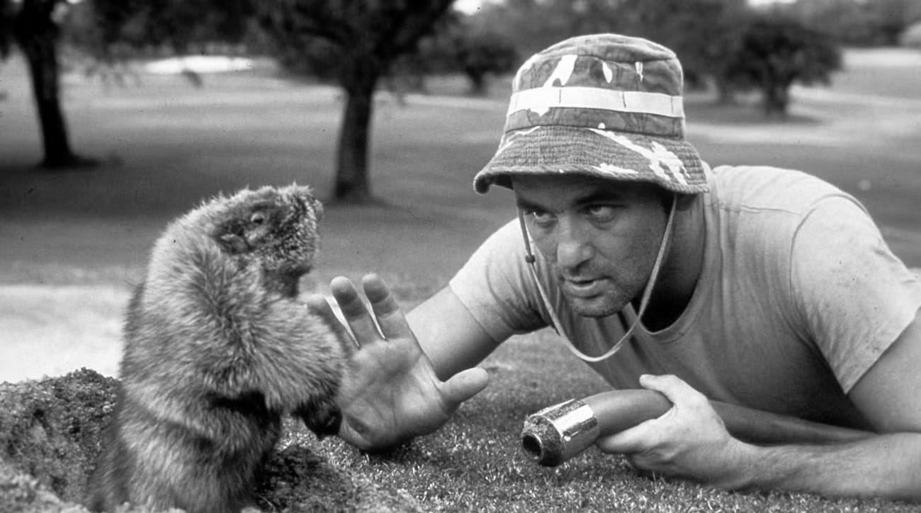 Top 10 Golf Movies You Must Watch
