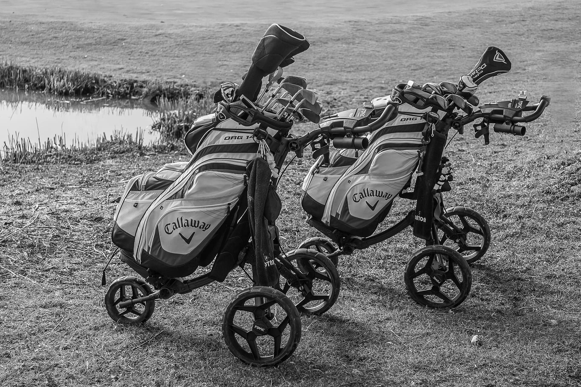 Top Golf Push Carts for Every Budget