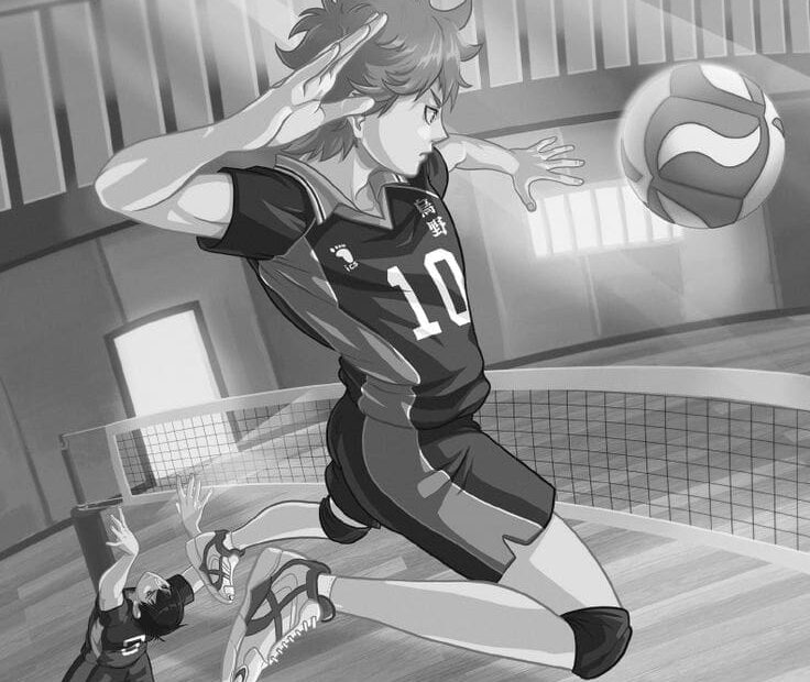 Top Volleyball Anime To Watch