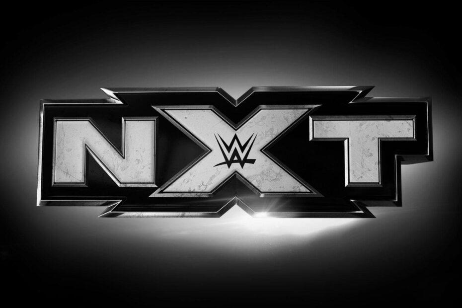 WWE NXT The Future of Professional Wrestling