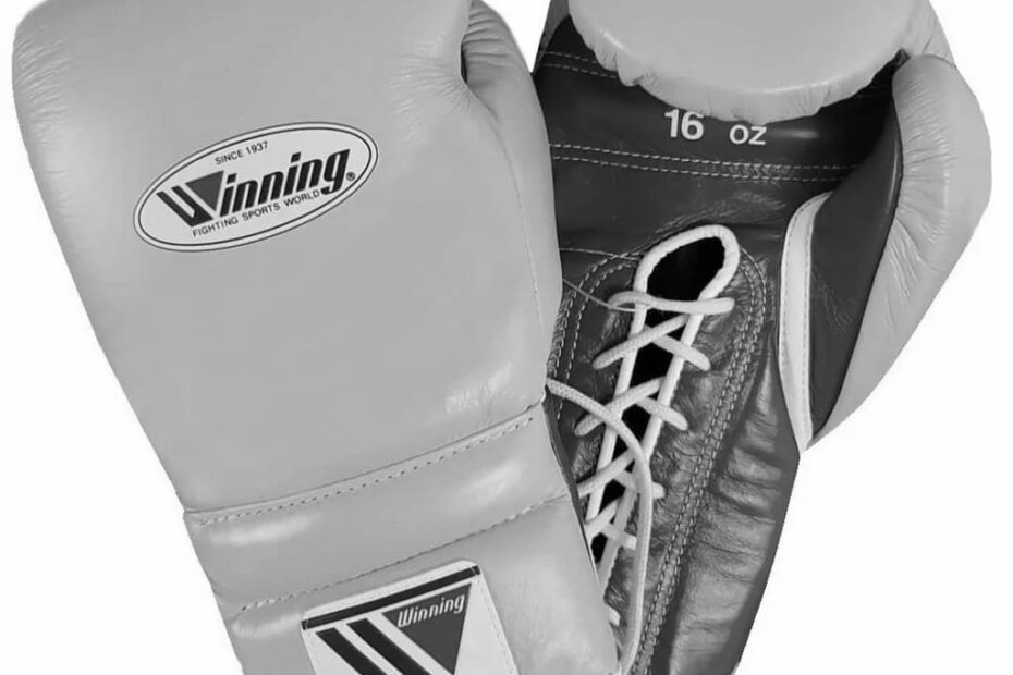 Winning Boxing Gloves