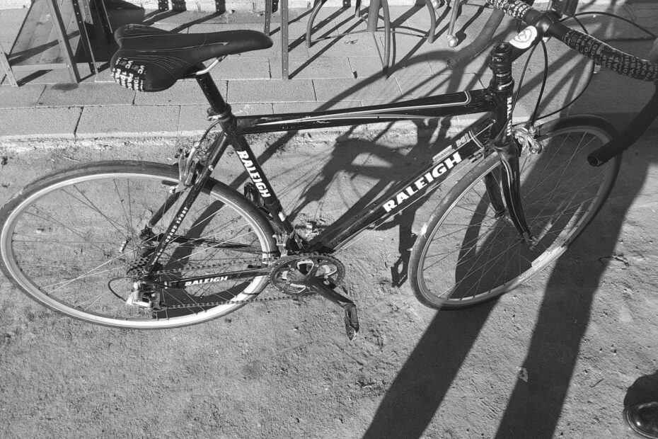 How Much is a Raleigh Bike Atomic 13 Sl?