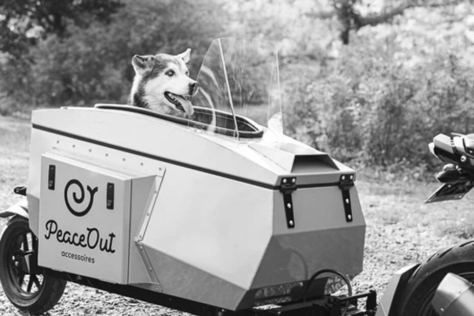 Is There a Law Governing Motorcycle Pet Trailers in Ontario?