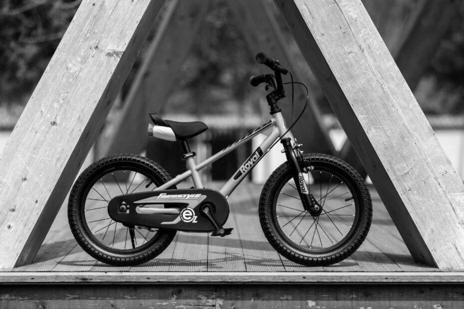 royal baby kids bikes