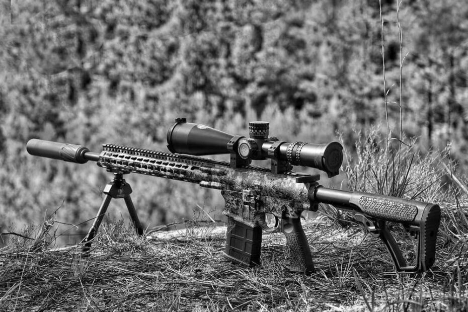 Best .308 Rifles for Precision Shooting
