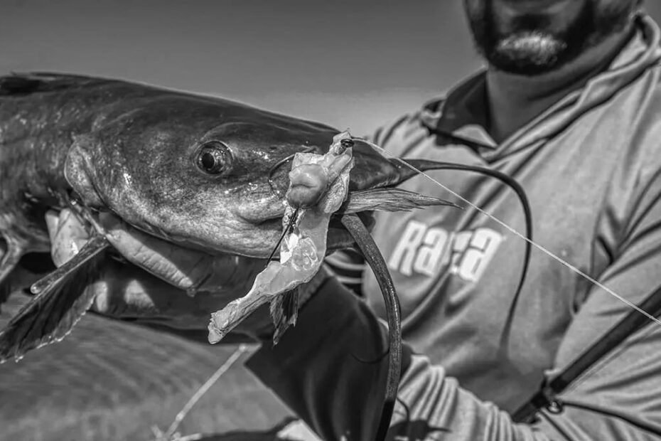 Best Catfish Lures for Fishing Success