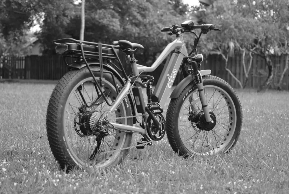 Best Dual Motor E Bikes Today