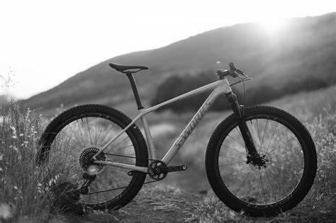 Best Hardtail MTB Bikes Today