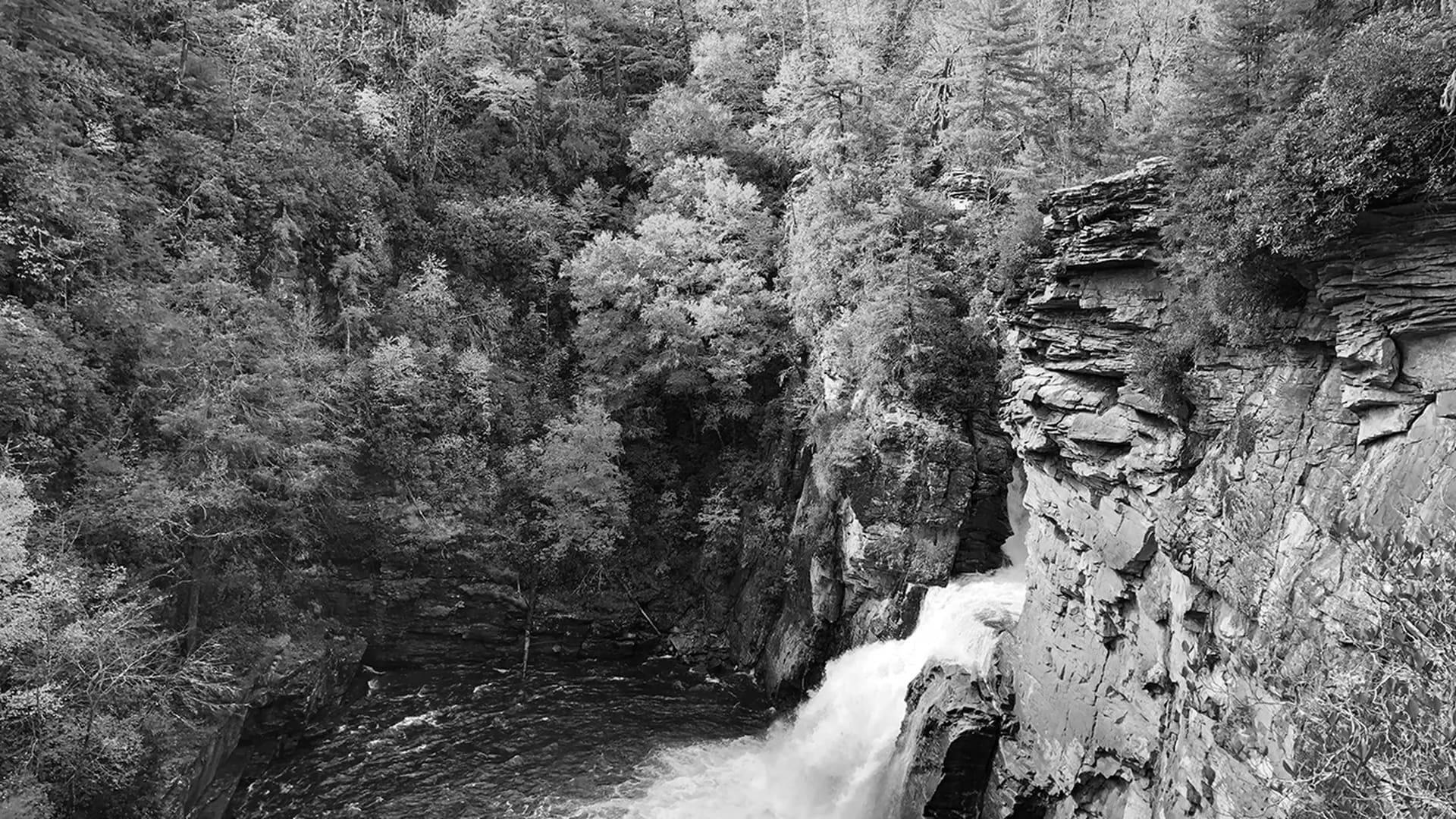 Best Hiking Trails Near Charlotte, NC