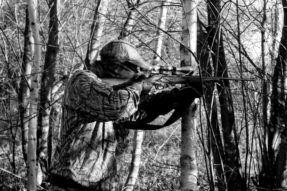 Best Hunting Rifles for Every Budget