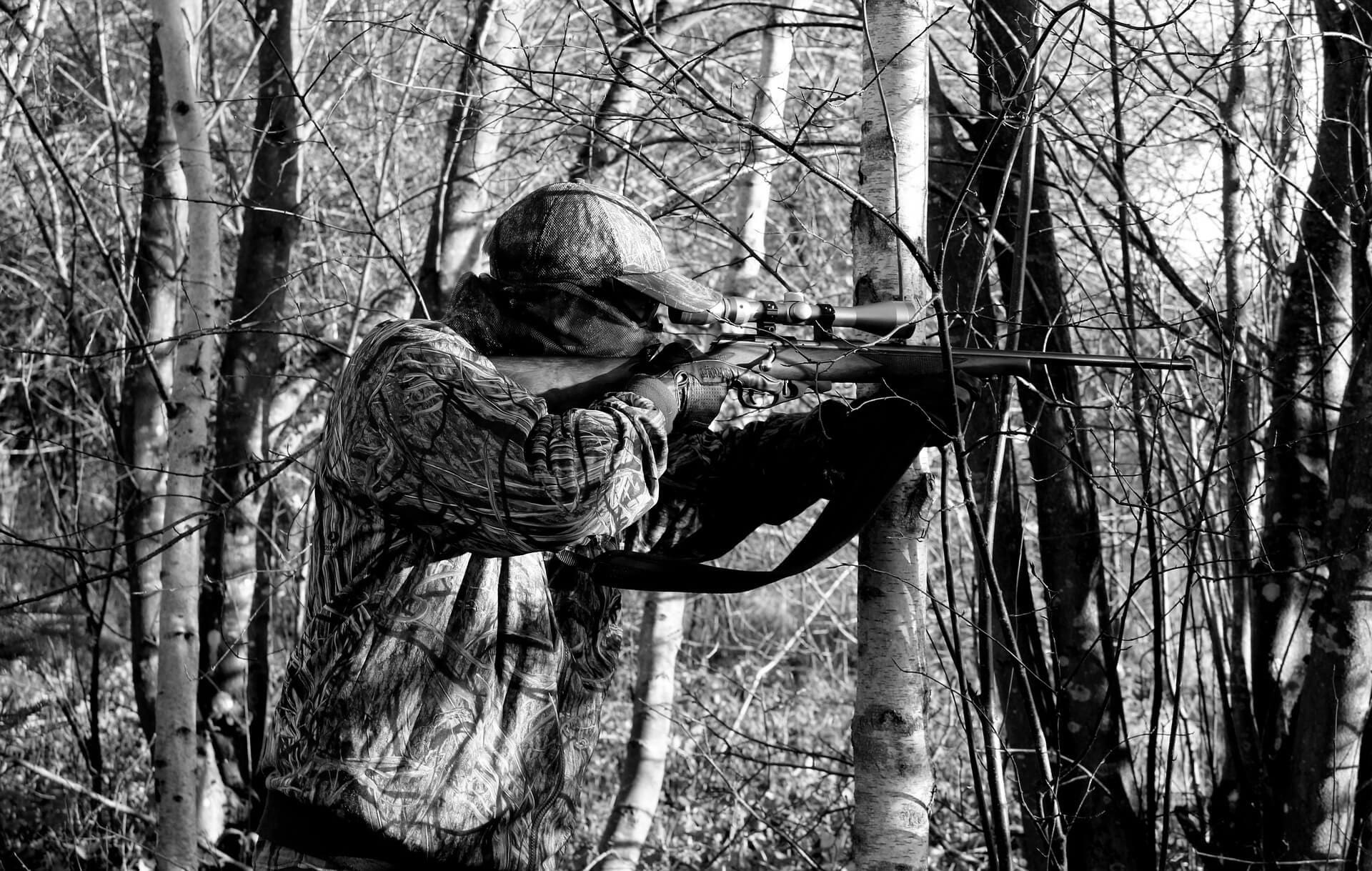 Best Hunting Rifles for Every Budget