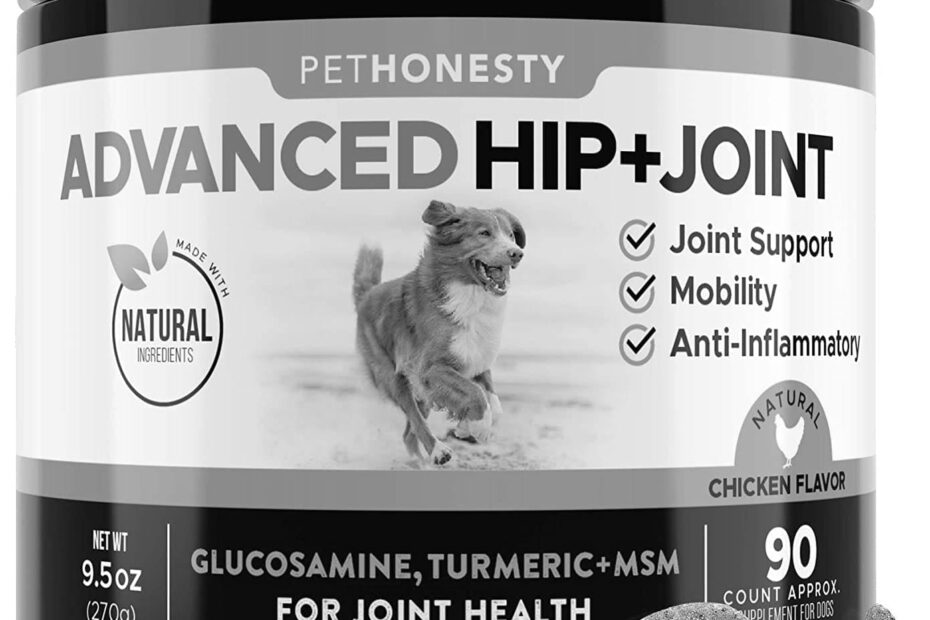 Best Joint Supplements for Dog Health