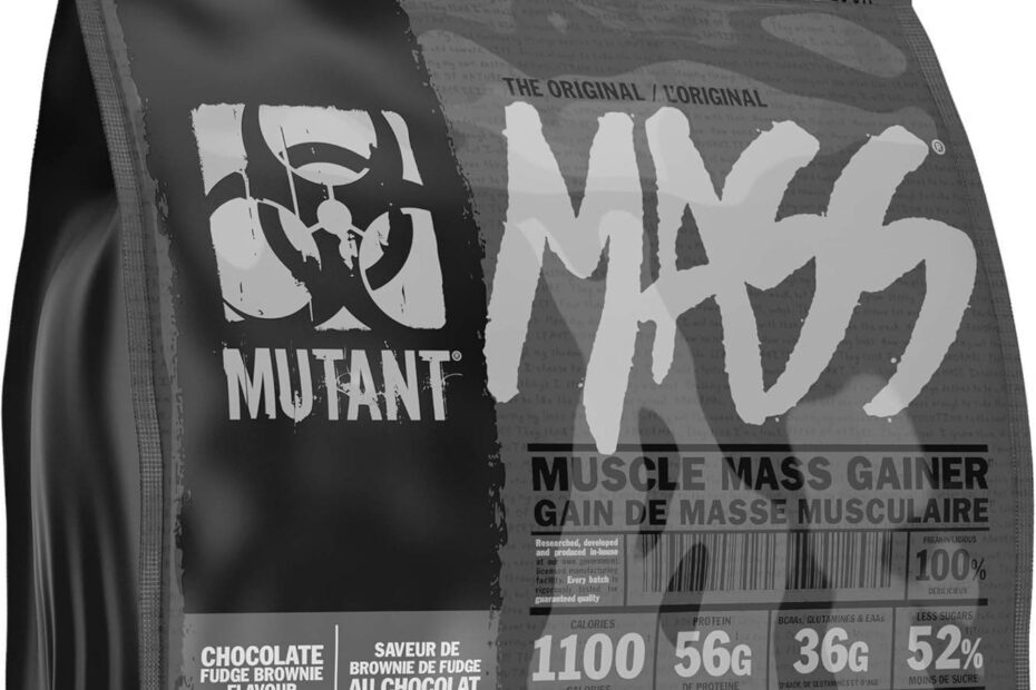Best Mass Gainer Protein Powders