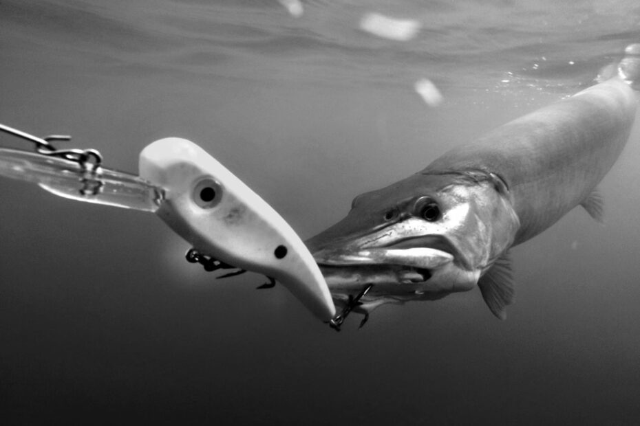 Best Musky Fishing Lures for Anglers