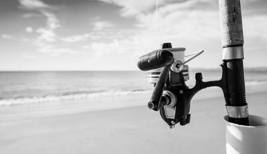 Best Surf Fishing Rods for Beach Anglers
