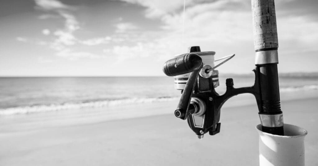 Best Surf Fishing Rods for Beach Anglers