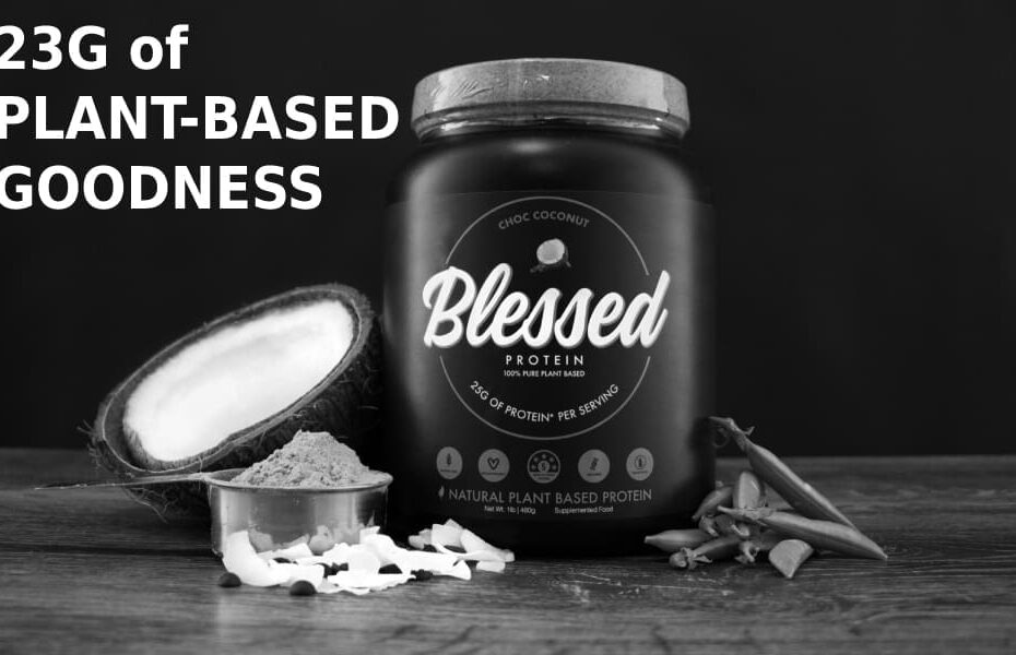 Comparing Blessed Protein Powder to Alternatives