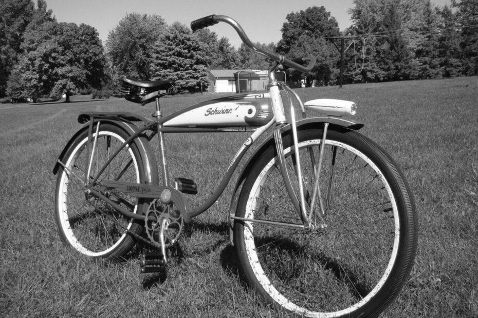 Evaluating the Quality of Schwinn Bikes