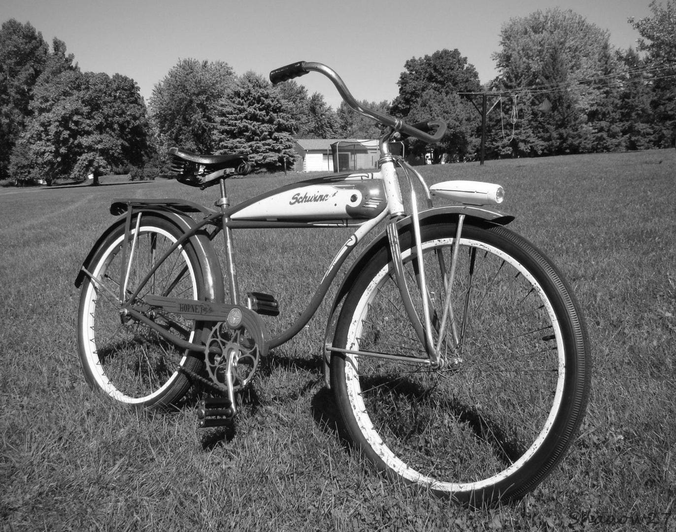 Evaluating the Quality of Schwinn Bikes