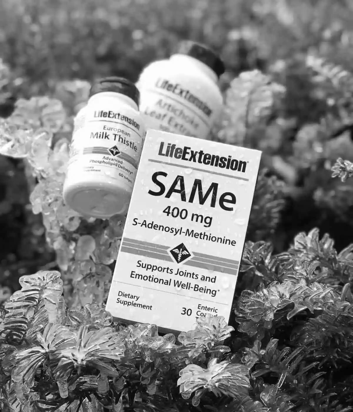 Exploring the Benefits of Life Extension Supplements