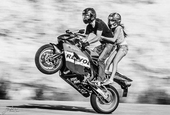 Exploring the Fascinating World of Bike Squids