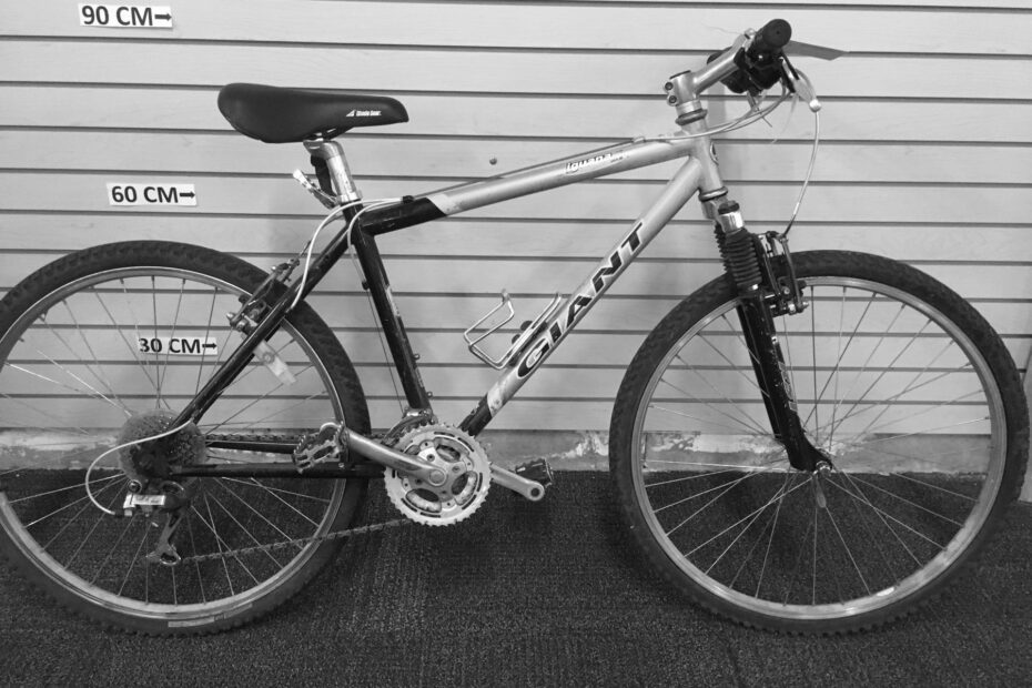 Exploring the Giant Iguana Mountain Bike Features