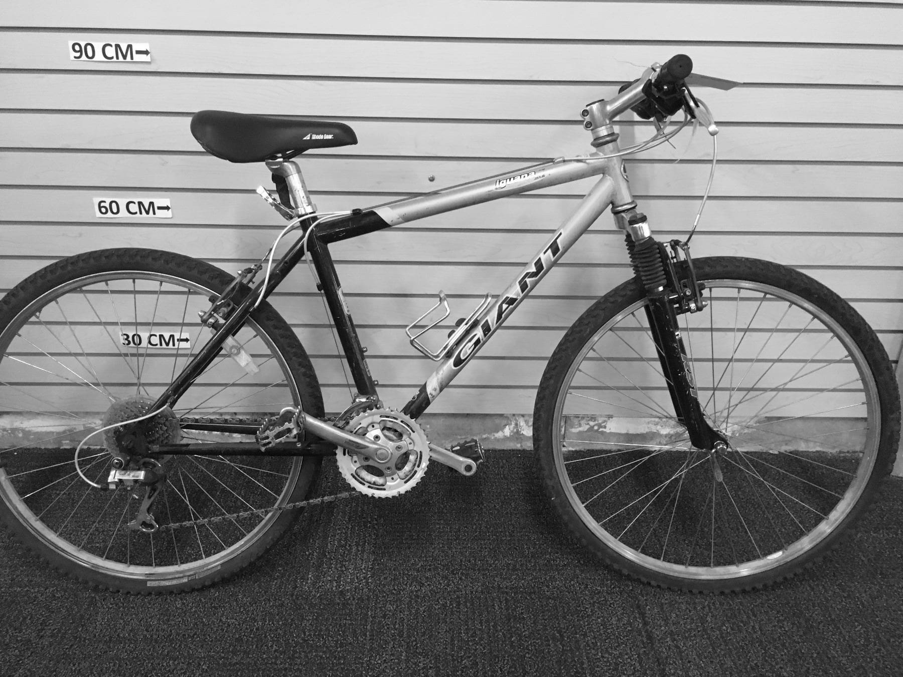 Exploring the Giant Iguana Mountain Bike Features