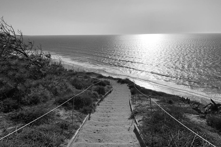 Exploring the Scenic Torrey Pines Trail