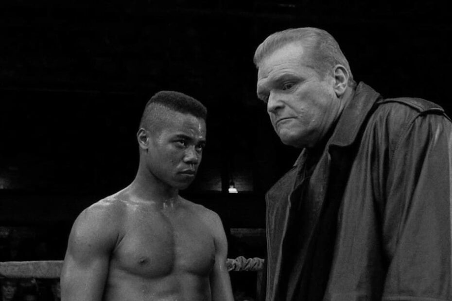 Gladiator Boxing History Meets Hollywood Action