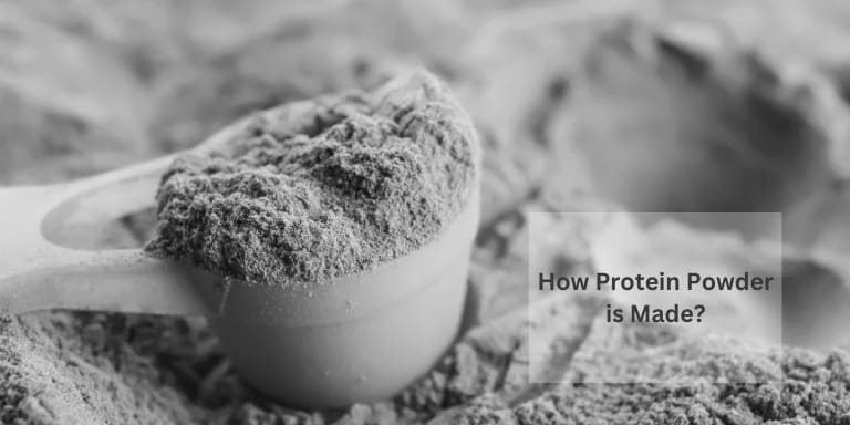 How is Protein Powder Made