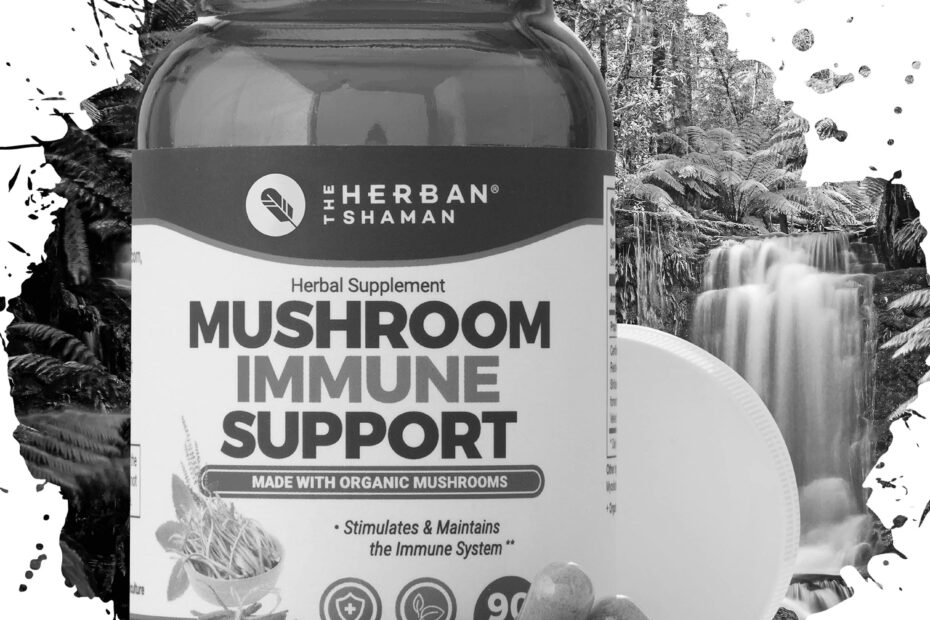 Looking into the Benefits of Mushroom Supplements
