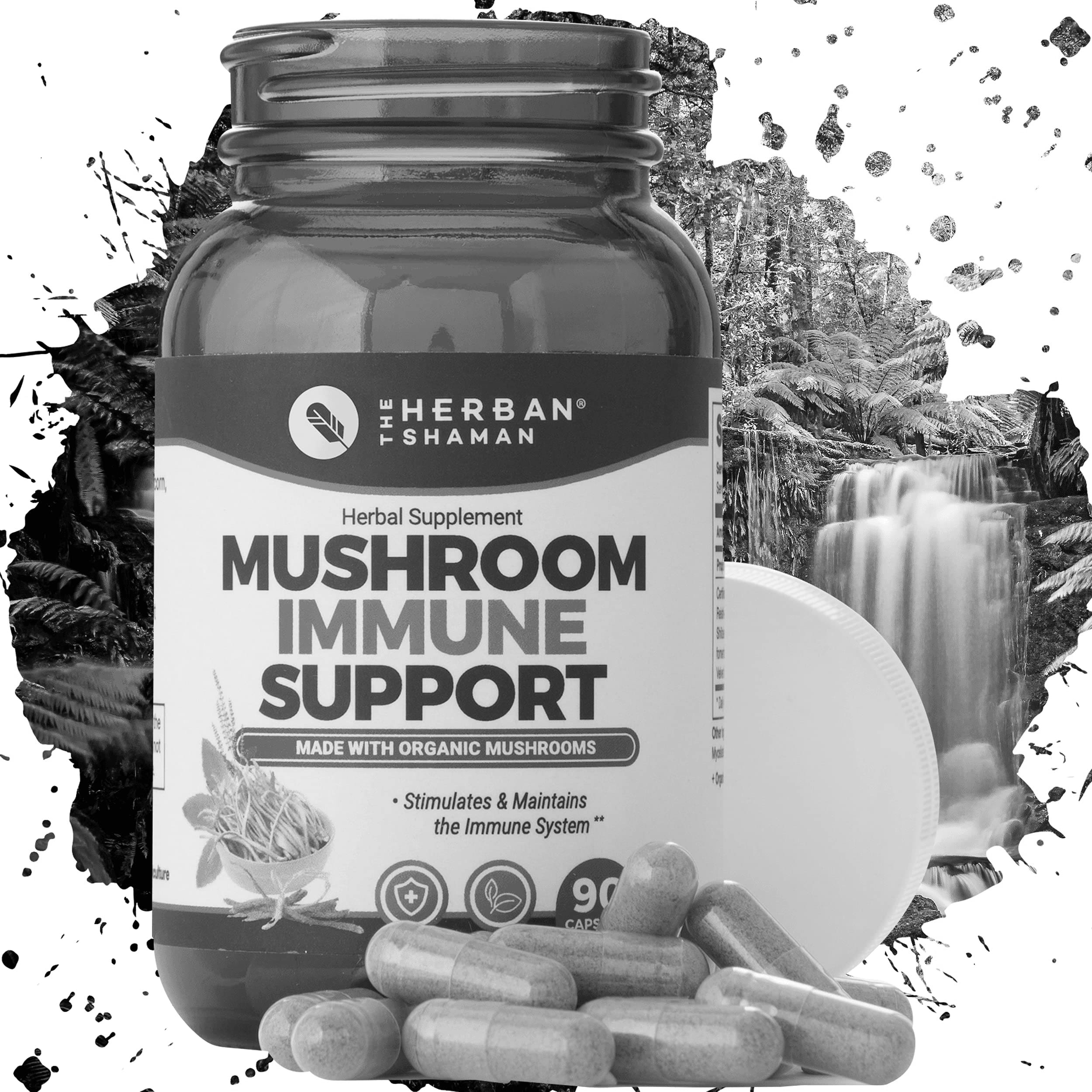 Looking into the Benefits of Mushroom Supplements
