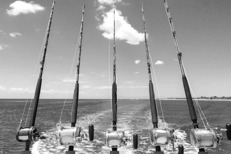 Maine Fishing License Fees and Regulations