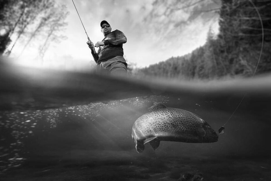 Missouri Fishing License Fees and Regulations