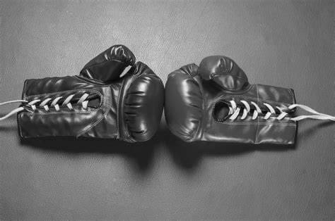 Muay Thai Gloves VS Boxing Gloves