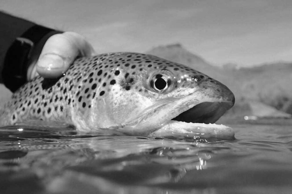 Oregon Fishing License Types and Costs