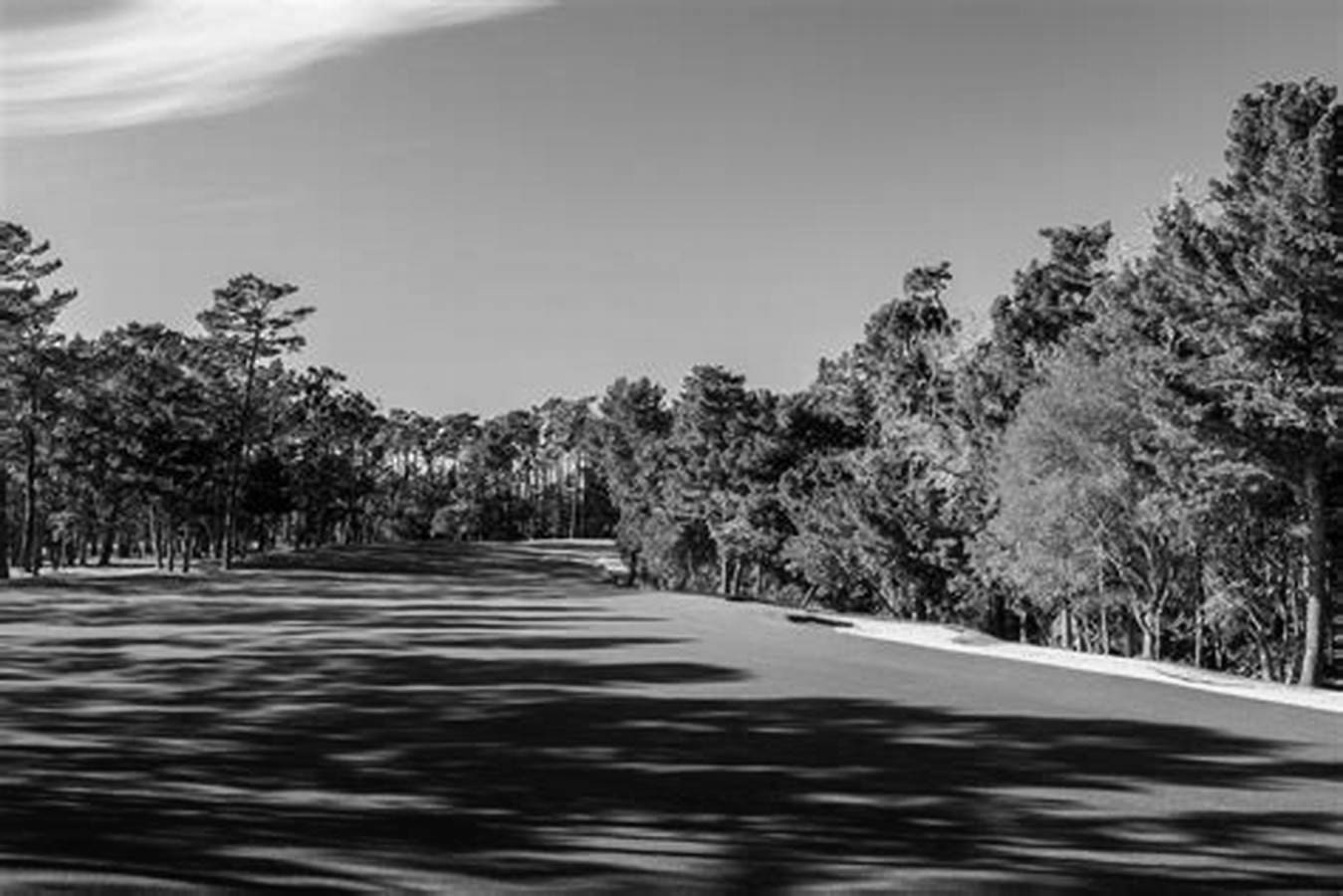 Poppy Hills A Golfer’s Paradise Awaits
