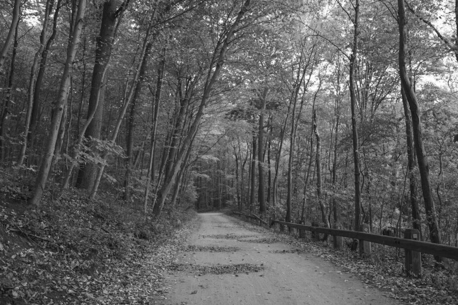 Top 10 Hiking Trails on Long Island