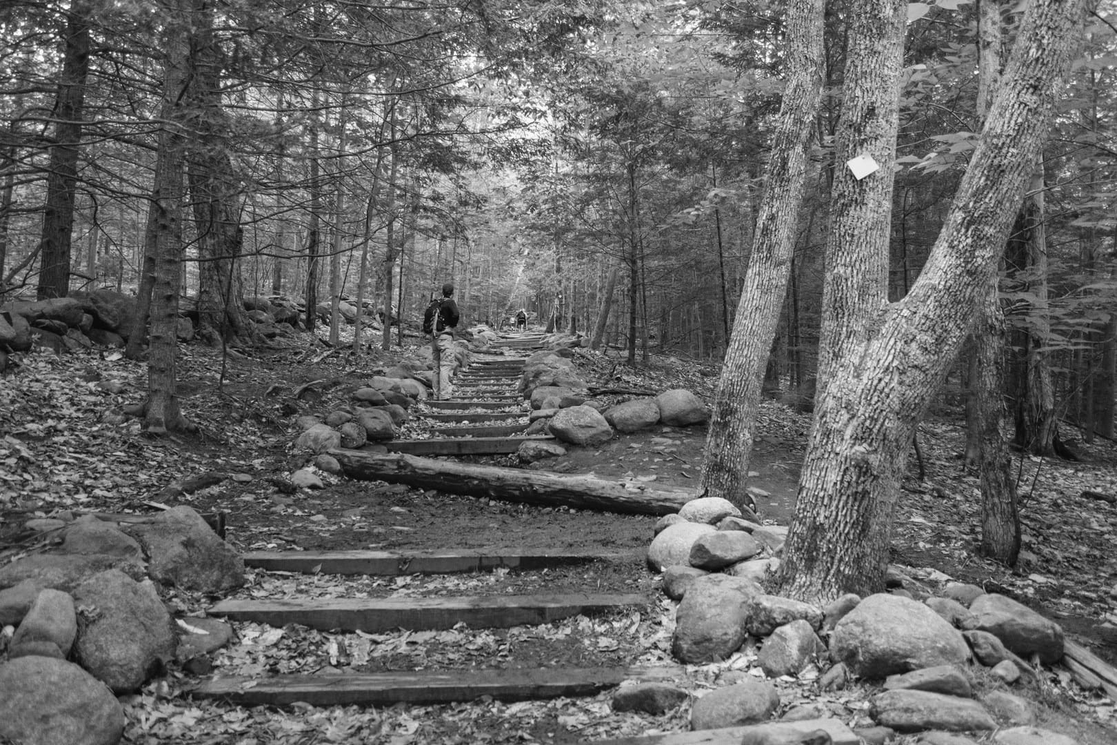 Top 10 Scenic Hikes in New Hampshire