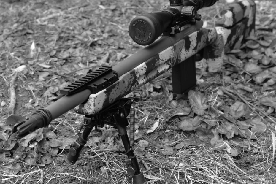 Top 300 Blackout Rifles for Beginners